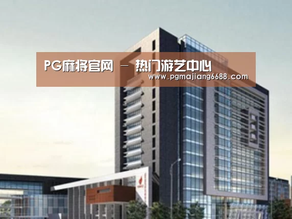 PG麻将官网案例展示四
