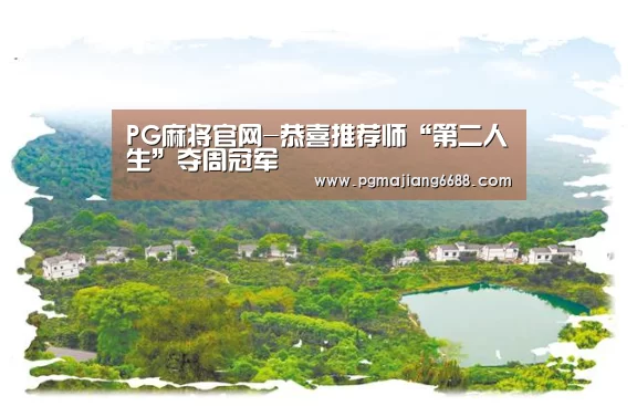 PG官网