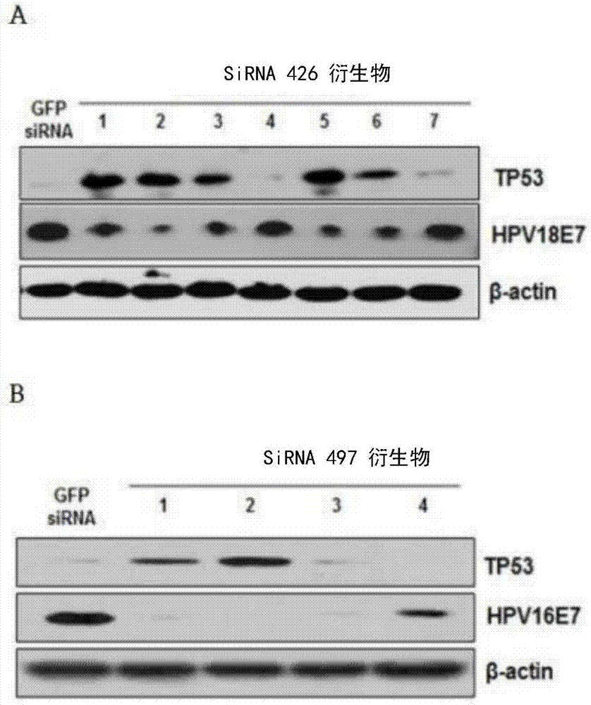 PG电子游艺_任贤齐“梦之声”自曝在沪结识人生挚友 受赠顶级豪宅(图1) PG电子游艺