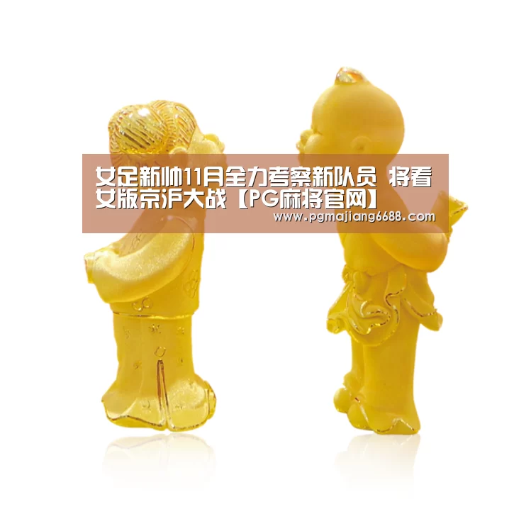 PG麻将官网