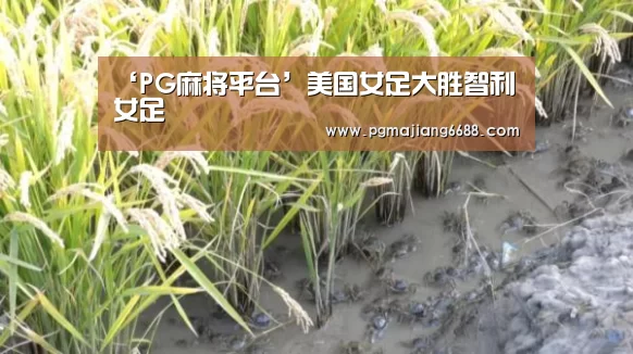 ‘PG麻将平台’美国女足大胜智利女足(图3) PG官网