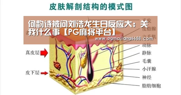 何韵诗被问刘浩龙生日反应大:关我什么事【PG麻将平台】(图2) PG官网